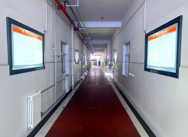 1647325775746954.jpg 2.jpg