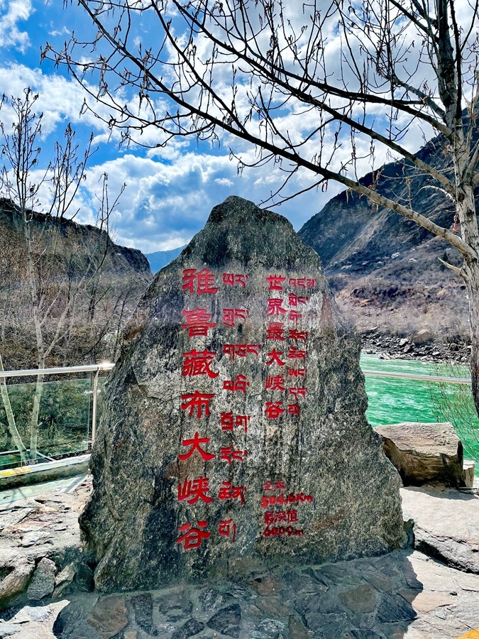 1649234034684951.jpg