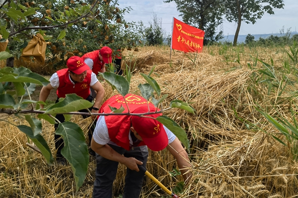 1687679806920869.jpg 3_¸±±¾.jpg