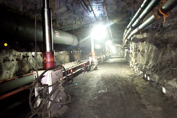 1703576901930647.jpg 配图_副本.jpg