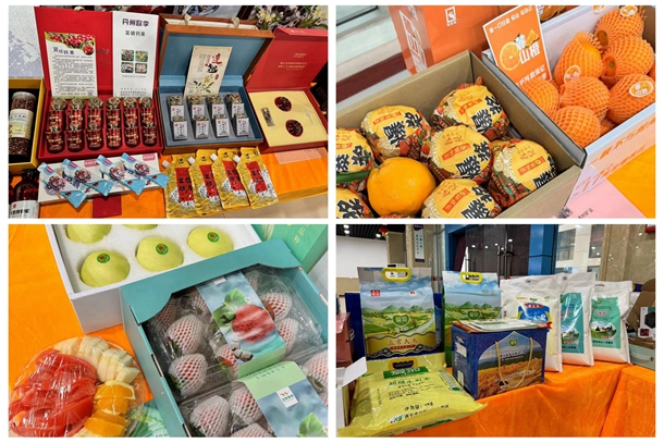 1705650543762186.jpg Åäͼ2_¸±±¾.jpg