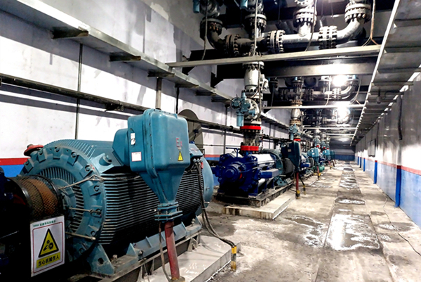 1716601071897301.jpg 1716083006131570.jpg