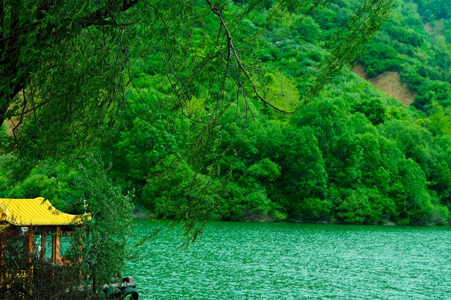 ����ҡҷ������