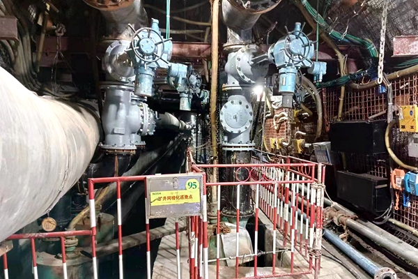 1717836871338335.jpg Åäͼ1_¸±±¾.jpg