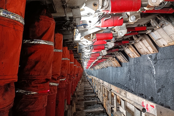 1721981646158002.jpg 1_¸±±¾.jpg