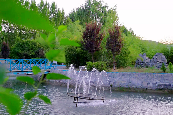 1729237121107799.png Ë®´¦Öóͷ£_¸±±¾.png