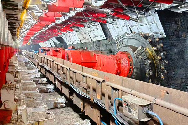 1730689095848065.jpg 1_¸±±¾.jpg