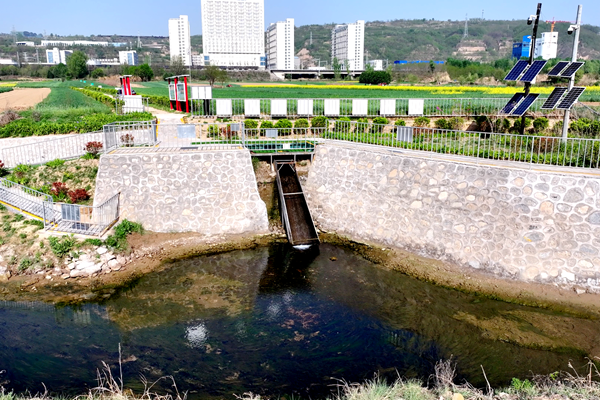 1733815286345095.png ͼ1_¸±±¾.png