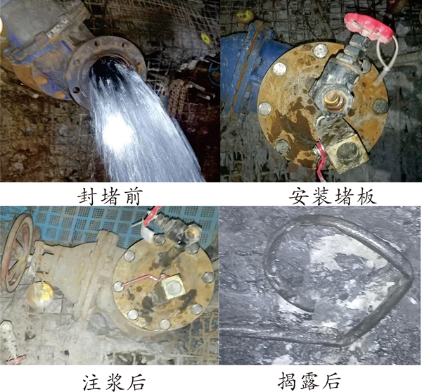 1734510008109886.jpg 图片_副本.jpg