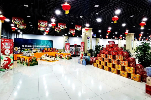 1737096740356708.jpg 配图_副本.jpg