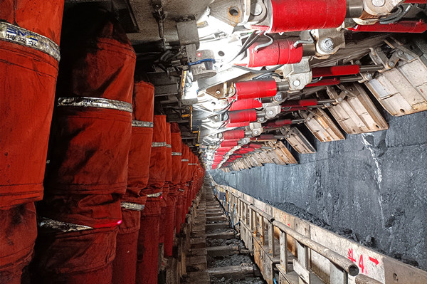 1738398262117814.jpg 1¡ª¡ª ´ó×¥Âäʵ ´òÓ®Çå¾²¡°·ÉíÕÌ¡±_¸±±¾.jpg