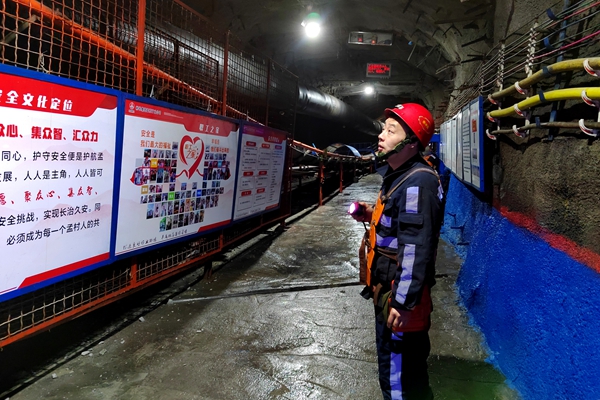 1744100896114763.jpg Åäͼ1_¸±±¾.jpg