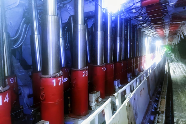 1744773164168510.jpg 1_¸±±¾.jpg