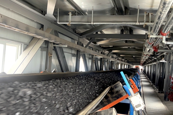 1747103258211729.jpg 302ÊäúƤ´ø_¸±±¾.jpg