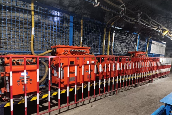 1747295114189228.jpg 1_¸±±¾.jpg