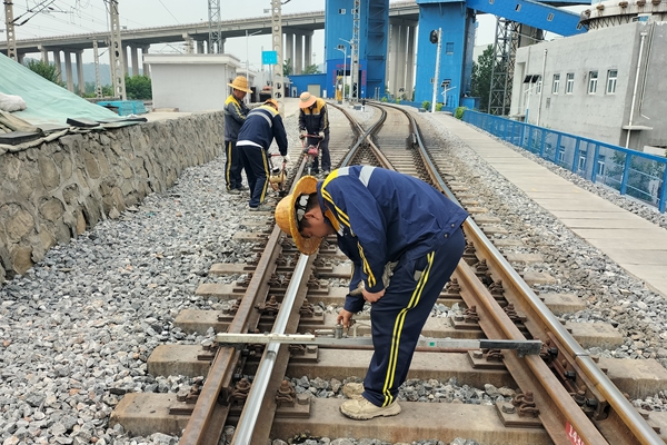 1748942985101545.jpg 线路病害整治_副本.jpg