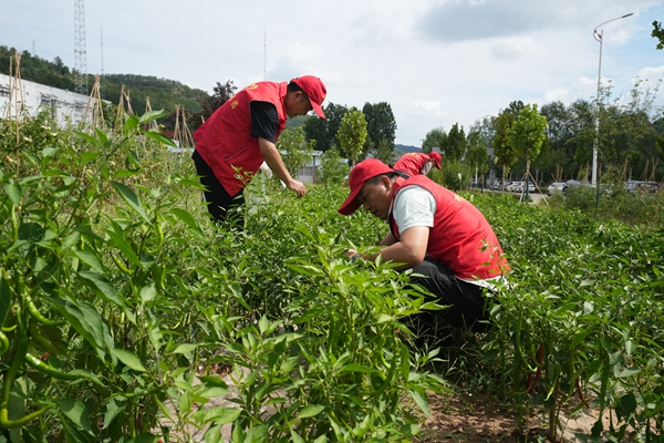 1754969501540656.jpg DSC09028_¸±±¾.jpg